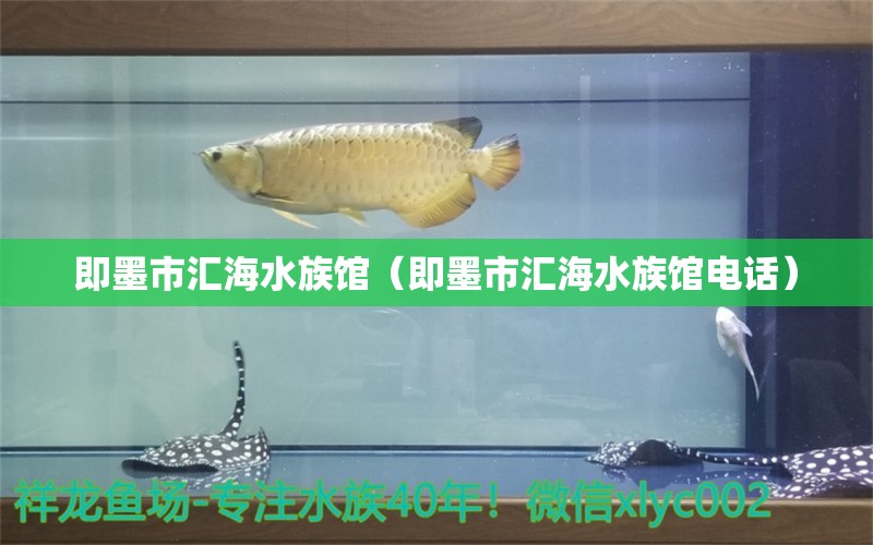 即墨市匯海水族館（即墨市匯海水族館電話） 全國水族館企業(yè)名錄