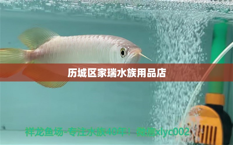 歷城區(qū)家瑞水族用品店 水族用品