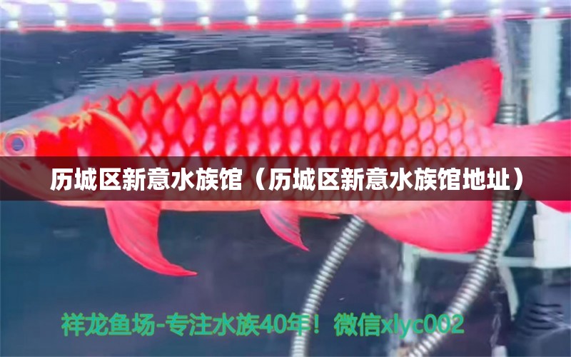 歷城區(qū)新意水族館（歷城區(qū)新意水族館地址）