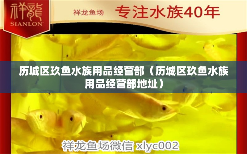 歷城區(qū)玖魚水族用品經(jīng)營部（歷城區(qū)玖魚水族用品經(jīng)營部地址）