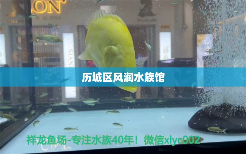 歷城區(qū)風(fēng)潤水族館 全國水族館企業(yè)名錄