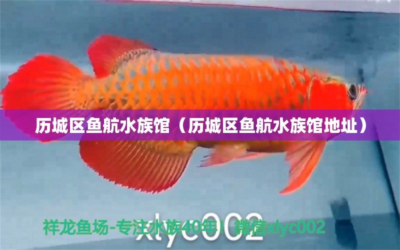 歷城區(qū)魚航水族館（歷城區(qū)魚航水族館地址） 全國水族館企業(yè)名錄