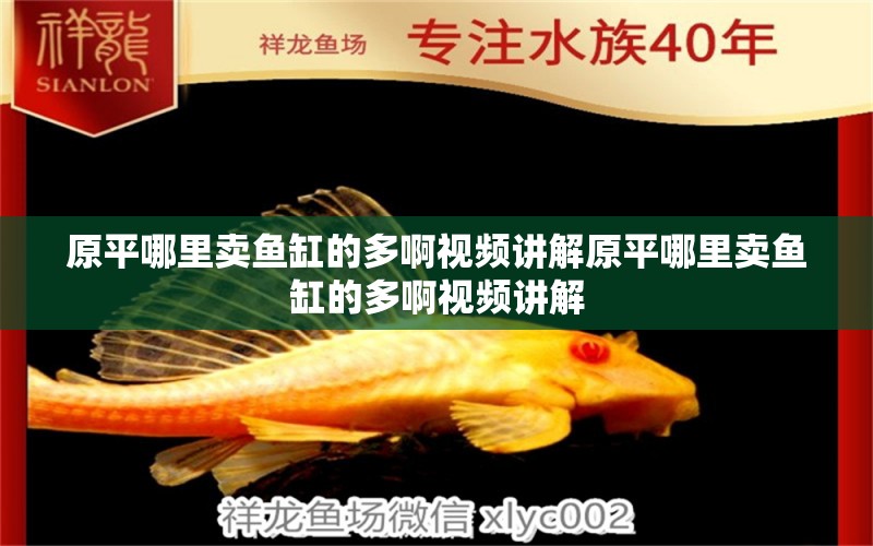 原平哪里賣魚缸的多啊視頻講解原平哪里賣魚缸的多啊視頻講解 羅漢魚批發(fā)