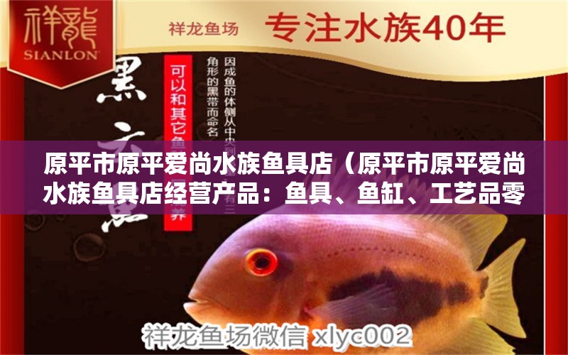 原平市原平愛尚水族魚具店（原平市原平愛尚水族魚具店經(jīng)營產(chǎn)品：魚具、魚缸、工藝品零售） 全國觀賞魚市場(chǎng) 第2張