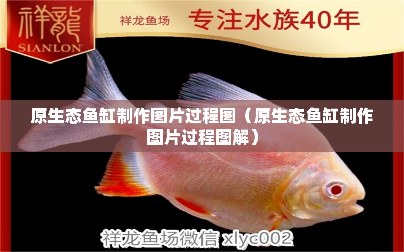 原生態(tài)魚缸制作圖片過(guò)程圖（原生態(tài)魚缸制作圖片過(guò)程圖解）