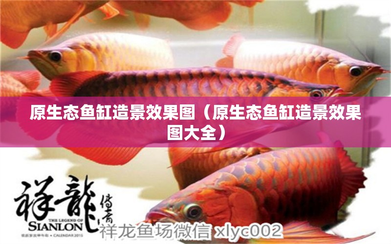 原生態(tài)魚缸造景效果圖（原生態(tài)魚缸造景效果圖大全）