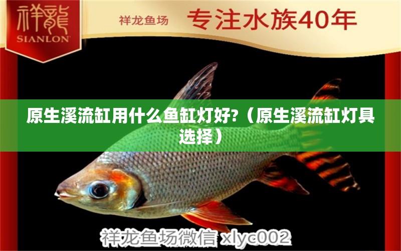 原生溪流缸用什么魚缸燈好?（原生溪流缸燈具選擇）