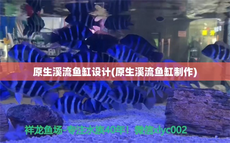 原生溪流魚缸設(shè)計(原生溪流魚缸制作) 祥龍魚場