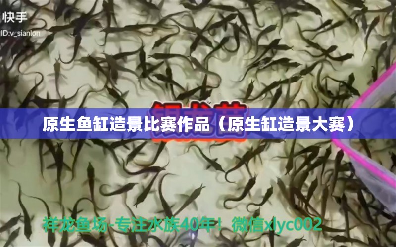 原生魚缸造景比賽作品（原生缸造景大賽）