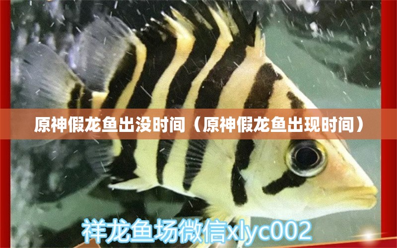 原神假龍魚出沒時間（原神假龍魚出現(xiàn)時間）