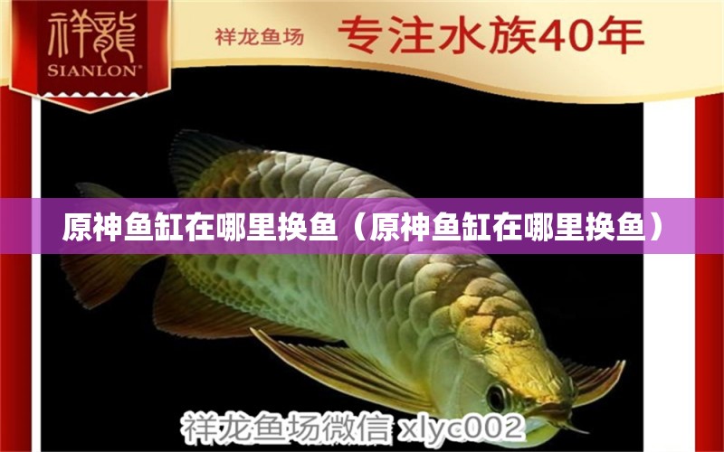 原神魚缸在哪里換魚（原神魚缸在哪里換魚）