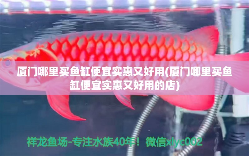 廈門哪里買魚缸便宜實(shí)惠又好用(廈門哪里買魚缸便宜實(shí)惠又好用的店) 黑桃A魚苗