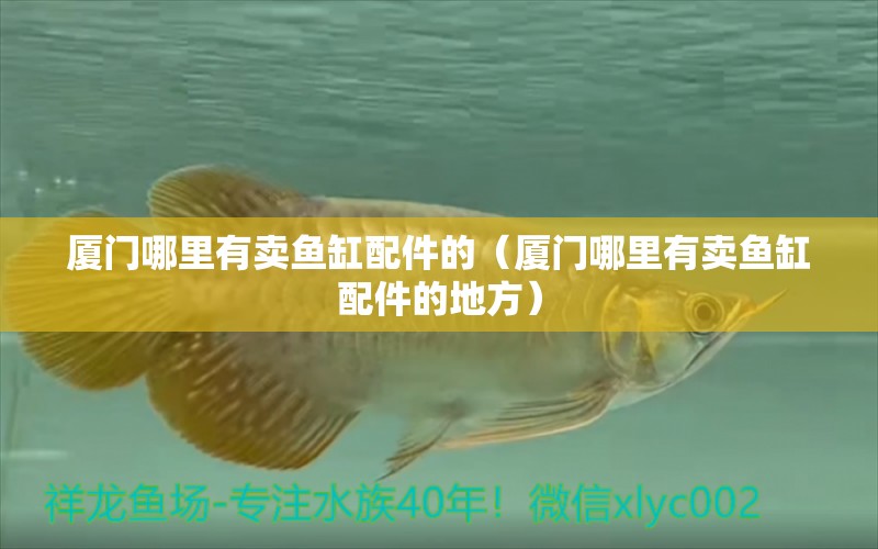 廈門(mén)哪里有賣(mài)魚(yú)缸配件的（廈門(mén)哪里有賣(mài)魚(yú)缸配件的地方） 其他品牌魚(yú)缸