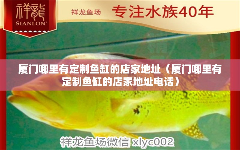 廈門(mén)哪里有定制魚(yú)缸的店家地址（廈門(mén)哪里有定制魚(yú)缸的店家地址電話(huà)）