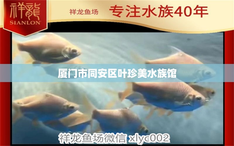 廈門(mén)市同安區(qū)葉珍美水族館 全國(guó)水族館企業(yè)名錄