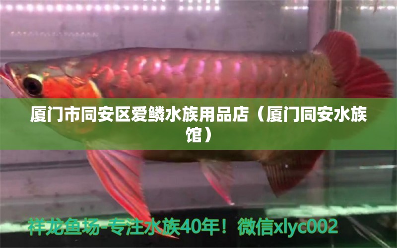 廈門市同安區(qū)愛鱗水族用品店（廈門同安水族館）