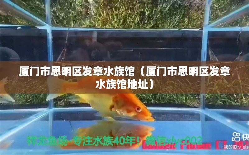 廈門市思明區(qū)發(fā)章水族館（廈門市思明區(qū)發(fā)章水族館地址） 全國水族館企業(yè)名錄