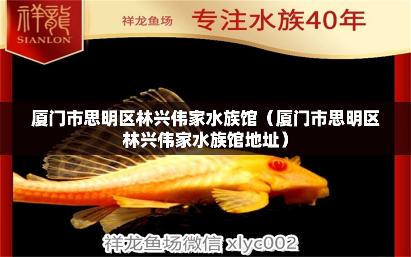 廈門(mén)市思明區(qū)林興偉家水族館（廈門(mén)市思明區(qū)林興偉家水族館地址）