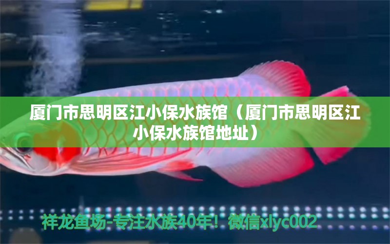 廈門市思明區(qū)江小保水族館（廈門市思明區(qū)江小保水族館地址） 全國(guó)水族館企業(yè)名錄