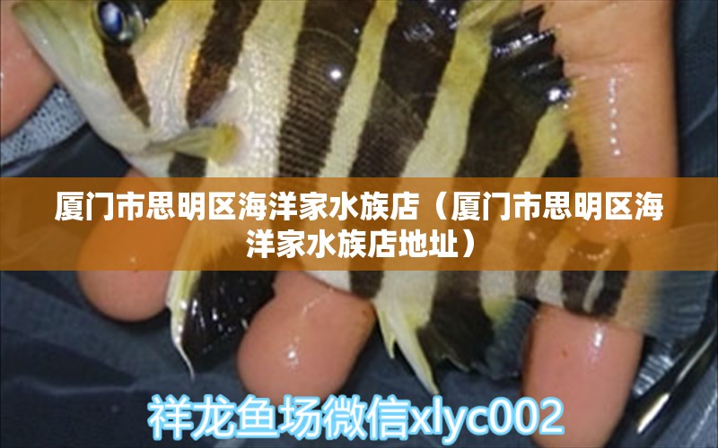 廈門市思明區(qū)海洋家水族店（廈門市思明區(qū)海洋家水族店地址） 全國(guó)水族館企業(yè)名錄