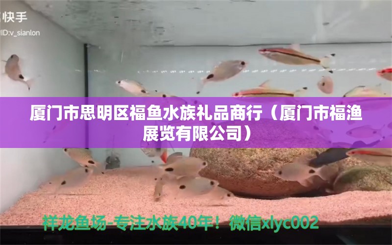 廈門市思明區(qū)福魚水族禮品商行（廈門市福漁展覽有限公司） 全國水族館企業(yè)名錄