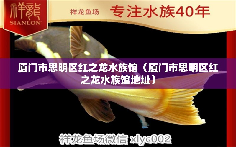 廈門市思明區(qū)紅之龍水族館（廈門市思明區(qū)紅之龍水族館地址）