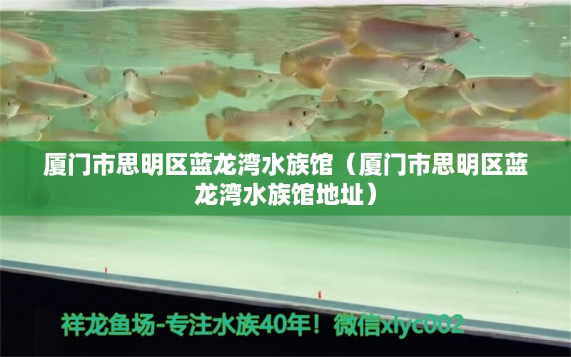 廈門市思明區(qū)藍(lán)龍灣水族館（廈門市思明區(qū)藍(lán)龍灣水族館地址）