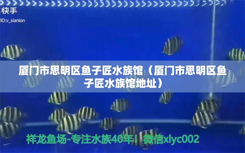 廈門市思明區(qū)魚子匠水族館（廈門市思明區(qū)魚子匠水族館地址）