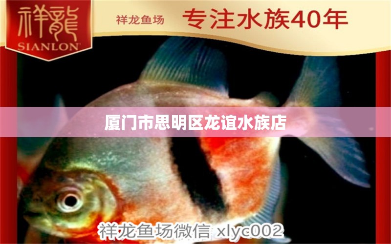 廈門市思明區(qū)龍誼水族店 全國水族館企業(yè)名錄