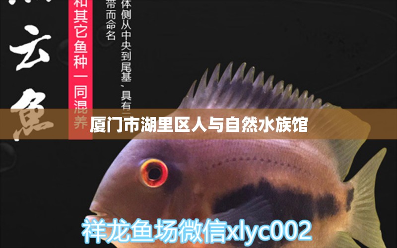 廈門市湖里區(qū)人與自然水族館 全國水族館企業(yè)名錄