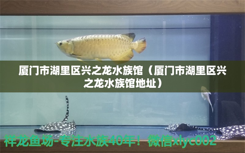 廈門市湖里區(qū)興之龍水族館（廈門市湖里區(qū)興之龍水族館地址）