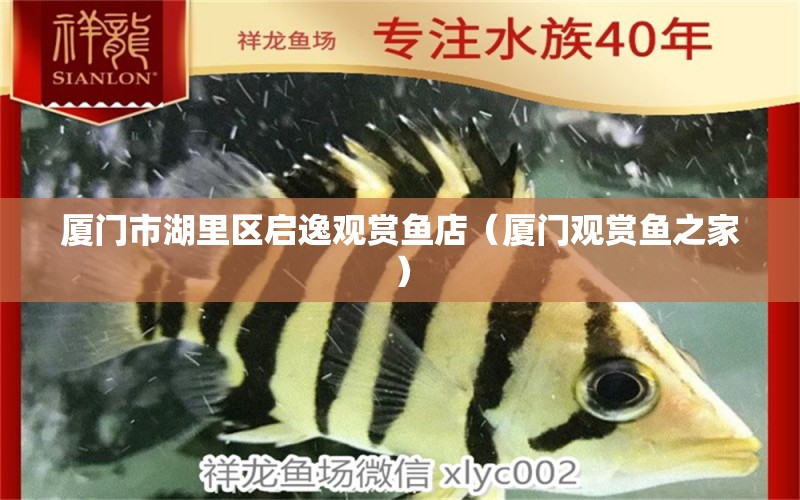 廈門市湖里區(qū)啟逸觀賞魚店（廈門觀賞魚之家）