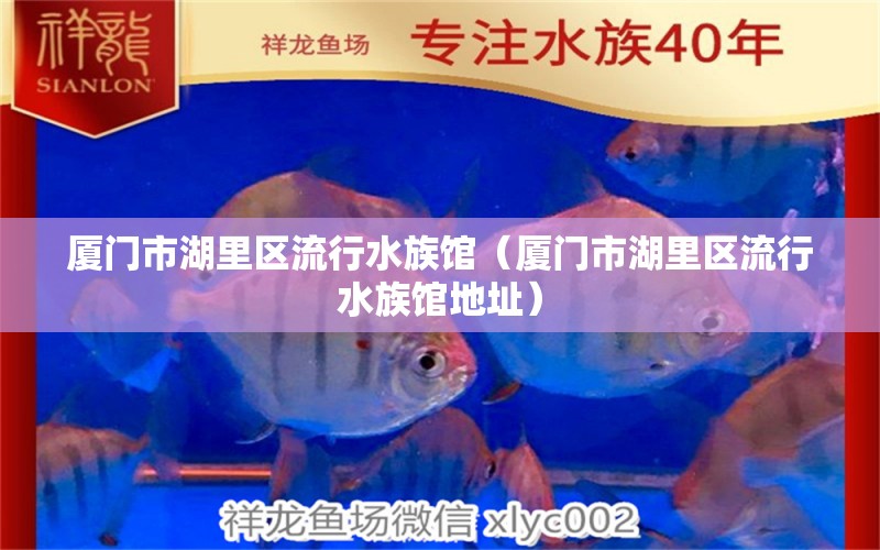 廈門市湖里區(qū)流行水族館（廈門市湖里區(qū)流行水族館地址） 全國水族館企業(yè)名錄