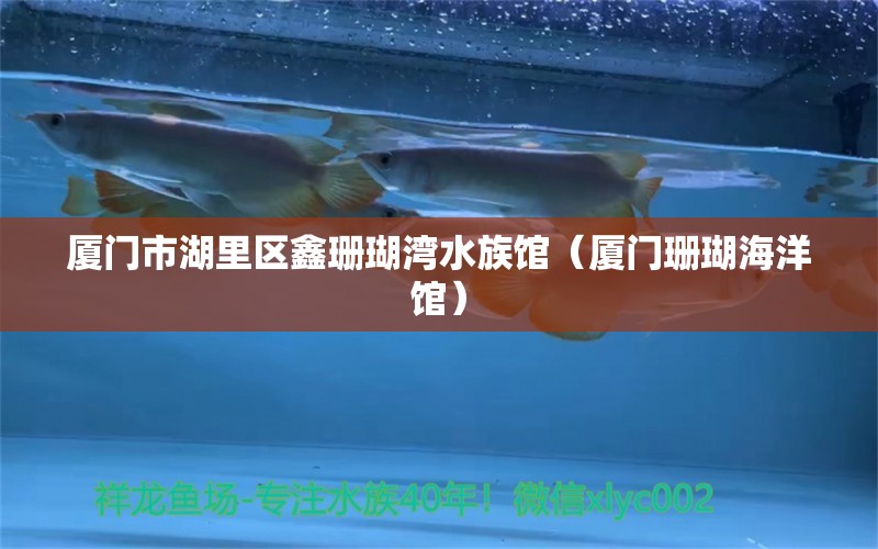 廈門市湖里區(qū)鑫珊瑚灣水族館（廈門珊瑚海洋館）