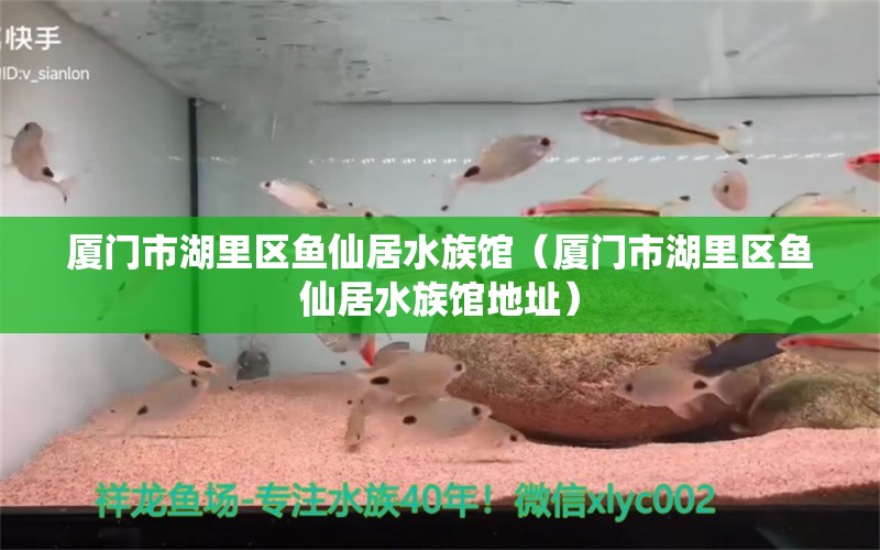 廈門市湖里區(qū)魚仙居水族館（廈門市湖里區(qū)魚仙居水族館地址） 全國水族館企業(yè)名錄