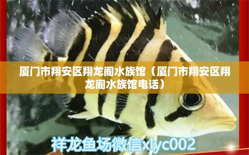 廈門(mén)市翔安區(qū)翔龍閣水族館（廈門(mén)市翔安區(qū)翔龍閣水族館電話）