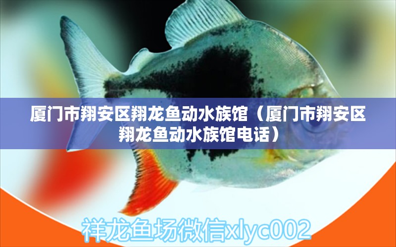 廈門市翔安區(qū)翔龍魚動水族館（廈門市翔安區(qū)翔龍魚動水族館電話） 全國水族館企業(yè)名錄