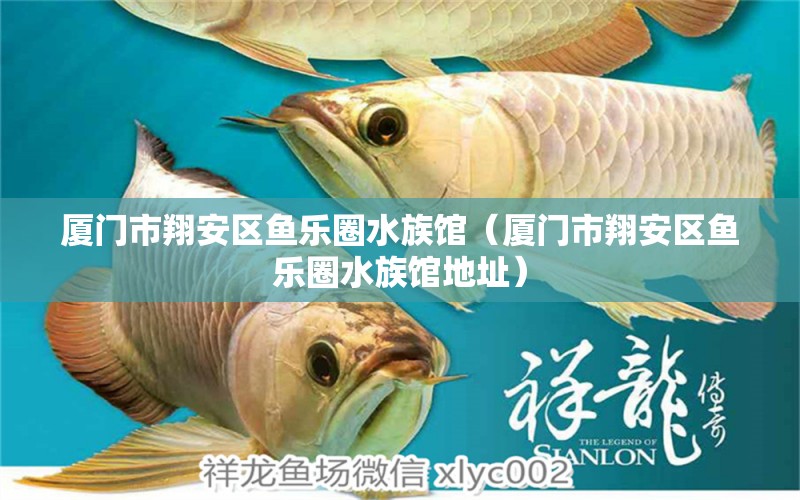 廈門市翔安區(qū)魚樂(lè)圈水族館（廈門市翔安區(qū)魚樂(lè)圈水族館地址） 全國(guó)水族館企業(yè)名錄