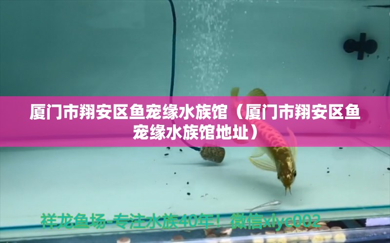 廈門市翔安區(qū)魚寵緣水族館（廈門市翔安區(qū)魚寵緣水族館地址） 全國水族館企業(yè)名錄