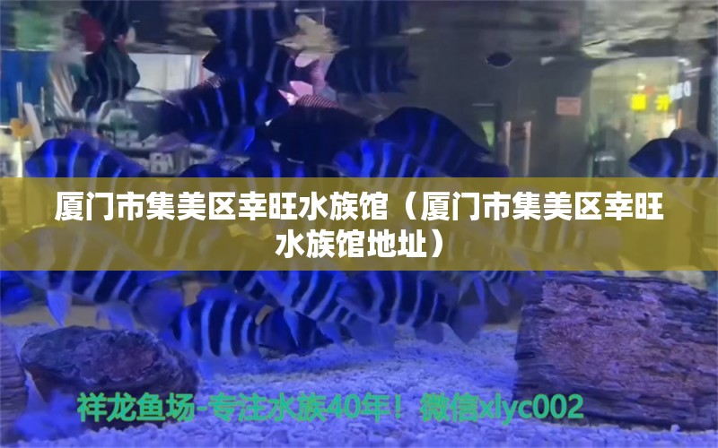 廈門(mén)市集美區(qū)幸旺水族館（廈門(mén)市集美區(qū)幸旺水族館地址）