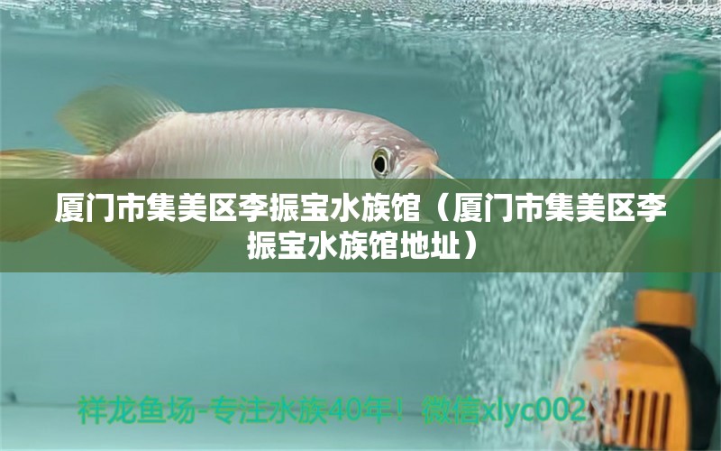 廈門市集美區(qū)李振寶水族館（廈門市集美區(qū)李振寶水族館地址）