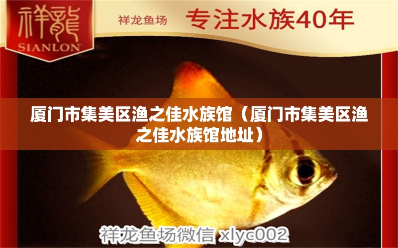 廈門市集美區(qū)漁之佳水族館（廈門市集美區(qū)漁之佳水族館地址） 全國水族館企業(yè)名錄