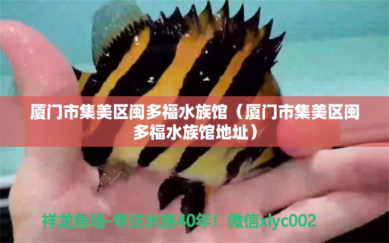 廈門市集美區(qū)閩多福水族館（廈門市集美區(qū)閩多福水族館地址）