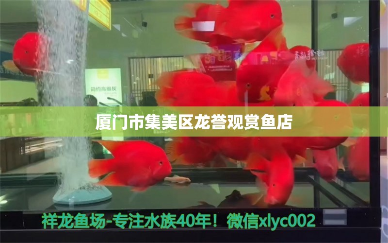 廈門市集美區(qū)龍譽觀賞魚店 全國水族館企業(yè)名錄