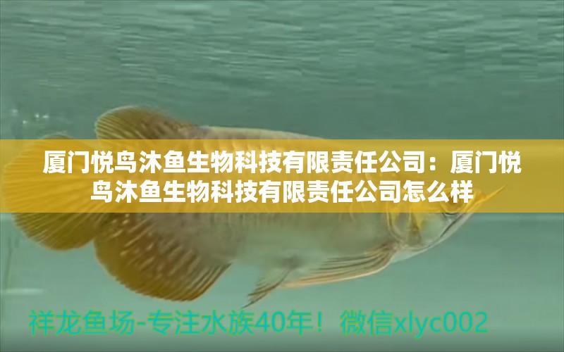 廈門(mén)悅鳥(niǎo)沐魚(yú)生物科技有限責(zé)任公司：廈門(mén)悅鳥(niǎo)沐魚(yú)生物科技有限責(zé)任公司怎么樣