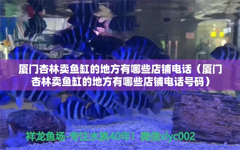 廈門(mén)杏林賣魚(yú)缸的地方有哪些店鋪電話（廈門(mén)杏林賣魚(yú)缸的地方有哪些店鋪電話號(hào)碼） 觀賞魚(yú)市場(chǎng)（混養(yǎng)魚(yú)）