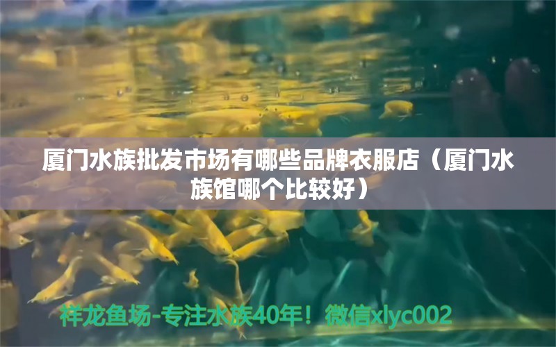 廈門水族批發(fā)市場有哪些品牌衣服店（廈門水族館哪個比較好）