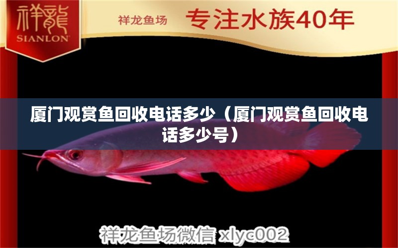 廈門觀賞魚回收電話多少（廈門觀賞魚回收電話多少號(hào)）