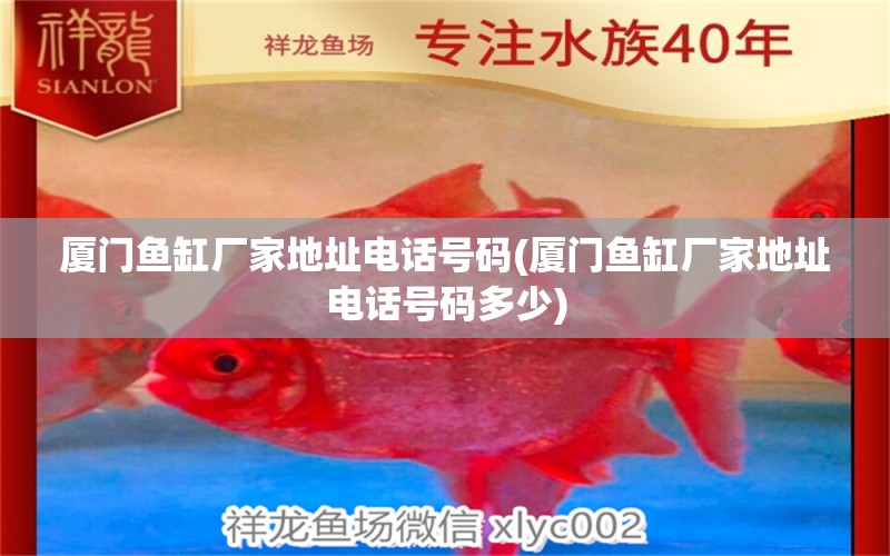 廈門魚缸廠家地址電話號碼(廈門魚缸廠家地址電話號碼多少) 喂食器 第1張