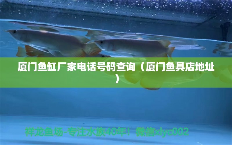 廈門魚缸廠家電話號(hào)碼查詢（廈門魚具店地址）